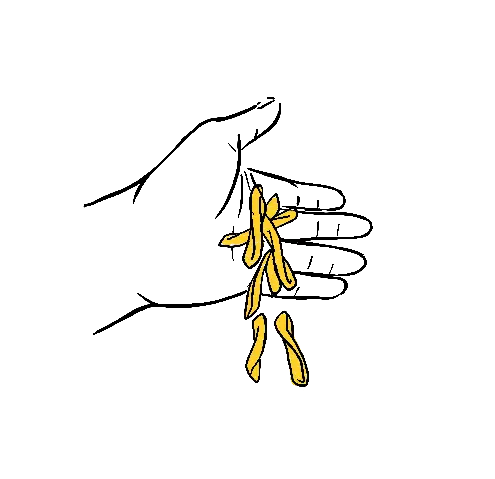 ICON_Pasta_portion_casarecce_v01